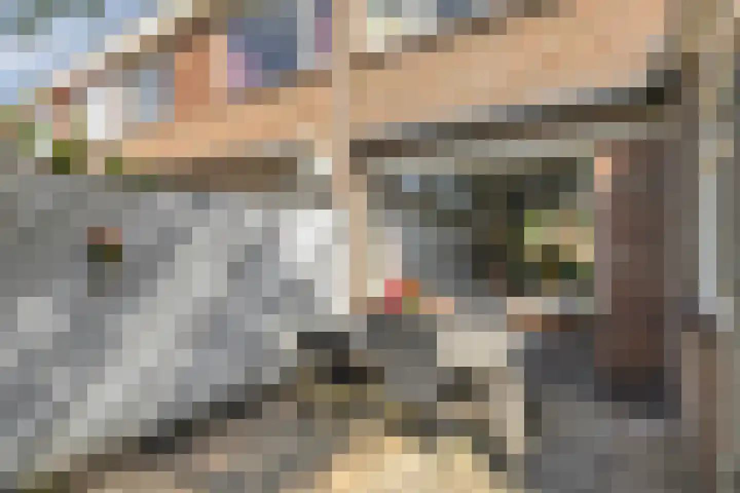 Westwiek 8 Etten-Leur thumbnail 28