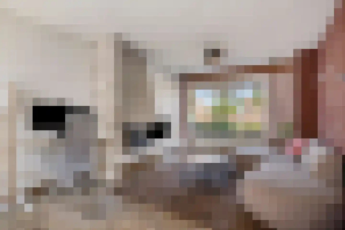 Westwiek 8 Etten-Leur thumbnail 5
