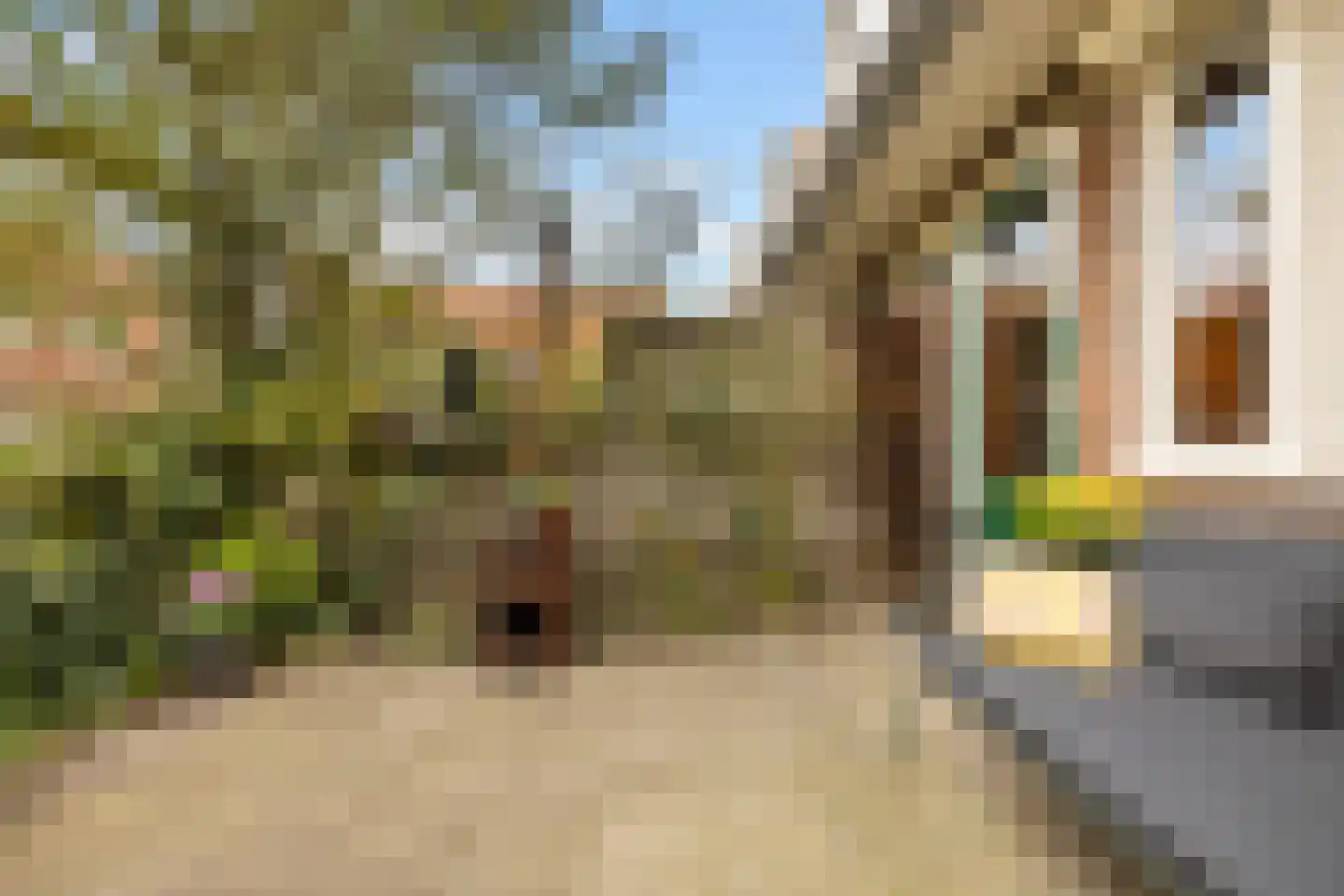 Westwouderstraat 3 Amsterdam thumbnail 14