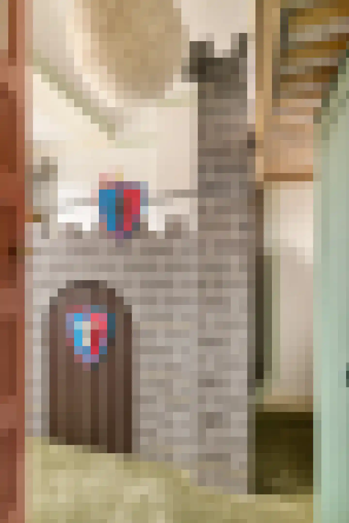 Westwouderstraat 3 Amsterdam thumbnail 22