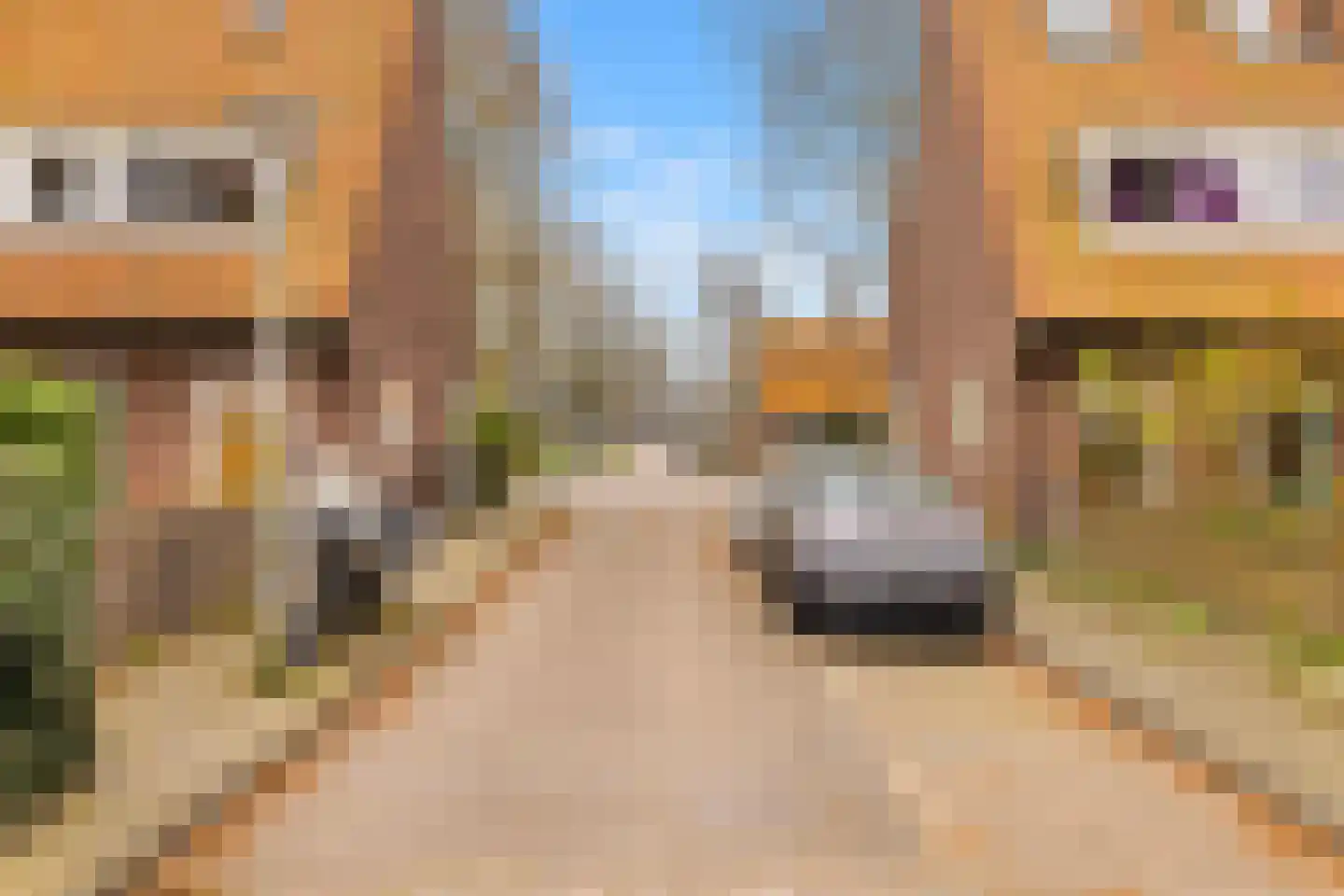 Westwouderstraat 3 Amsterdam thumbnail 31