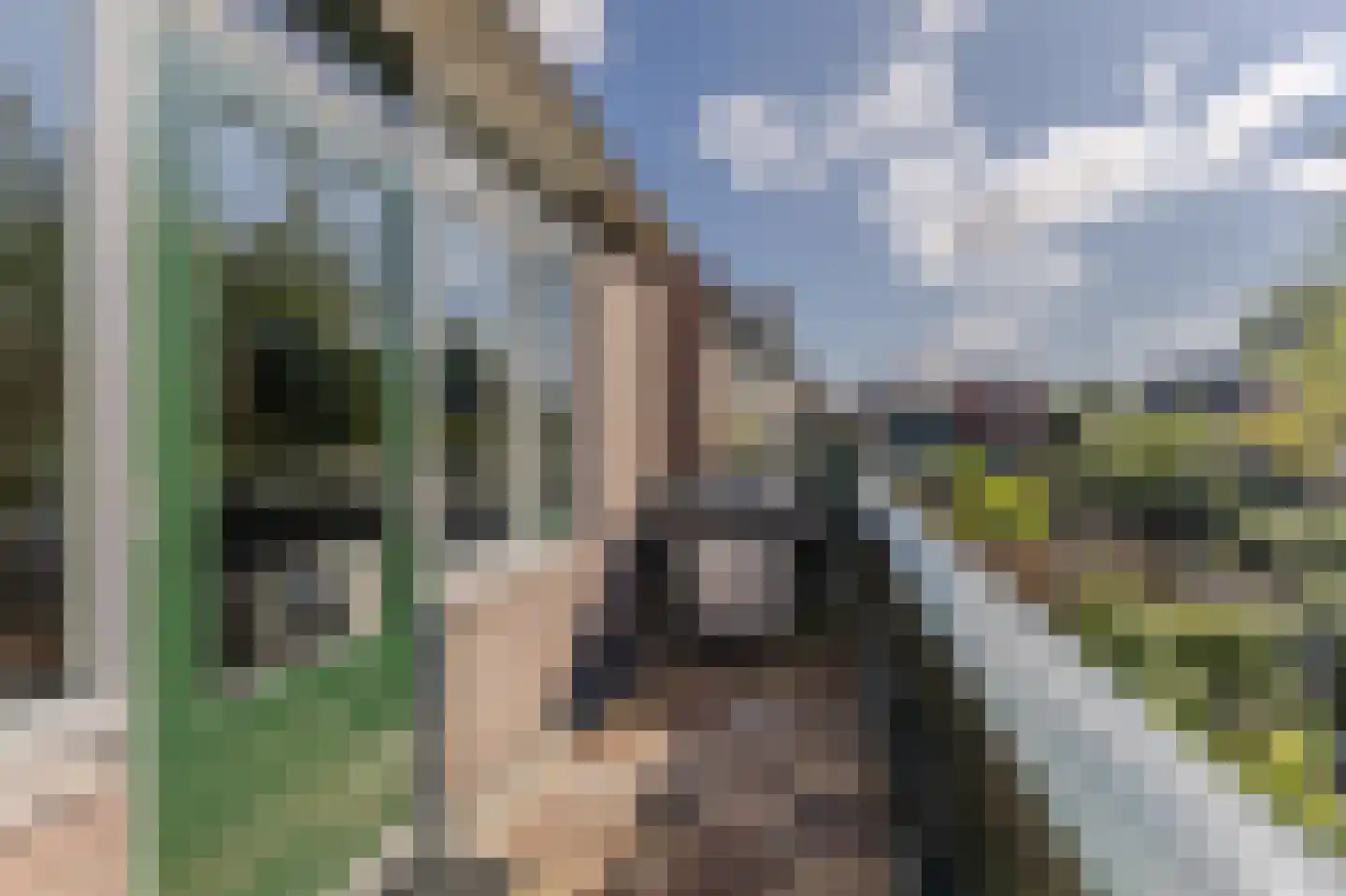 Westzanerdijk 105 Zaandam thumbnail 13