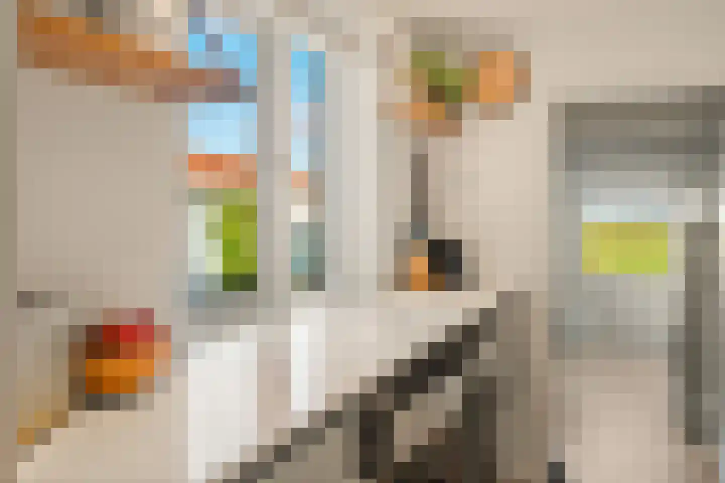 Westzanerdijk 358 Zaandam thumbnail 12