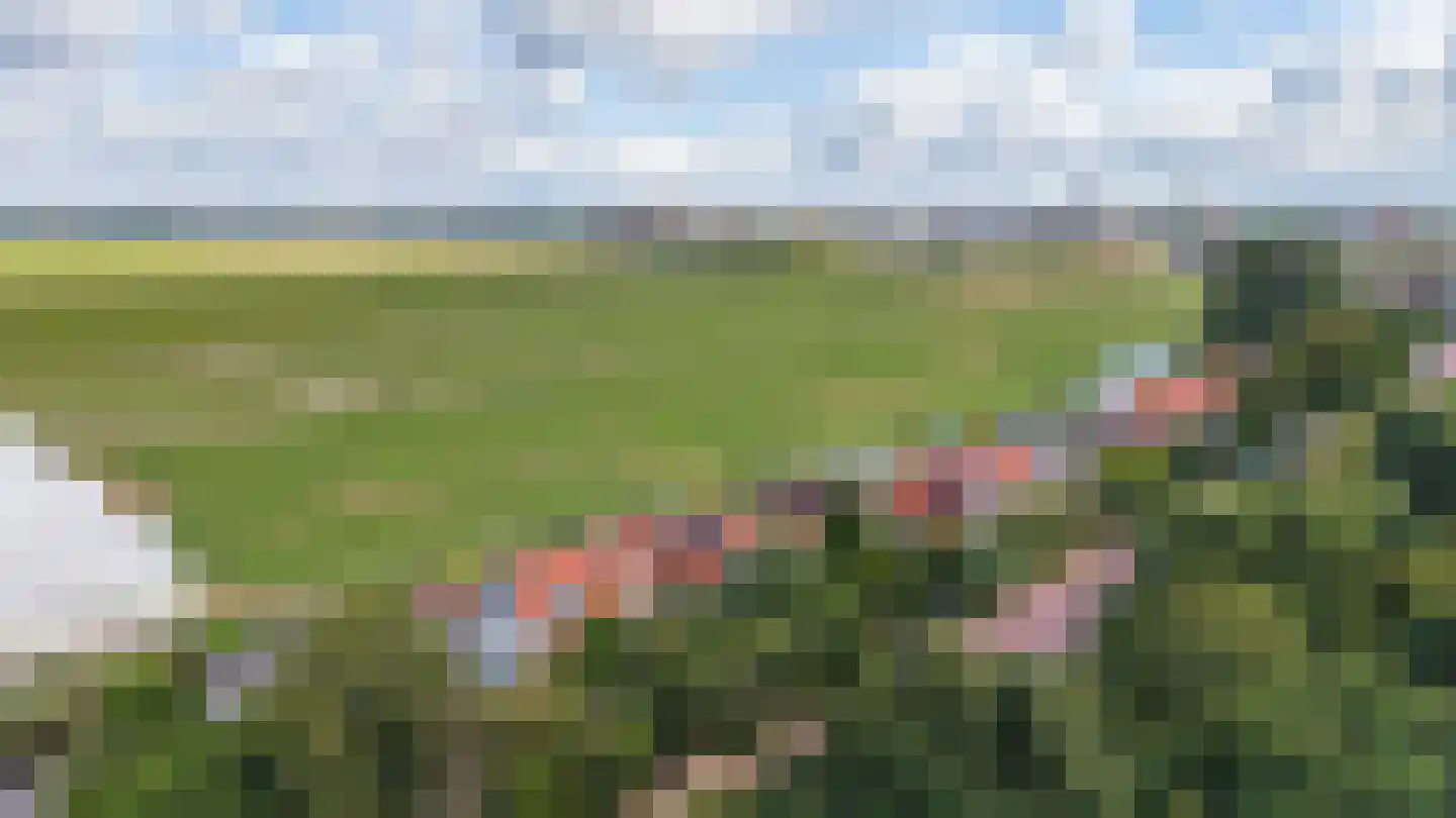Westzanerdijk 358 Zaandam thumbnail 60