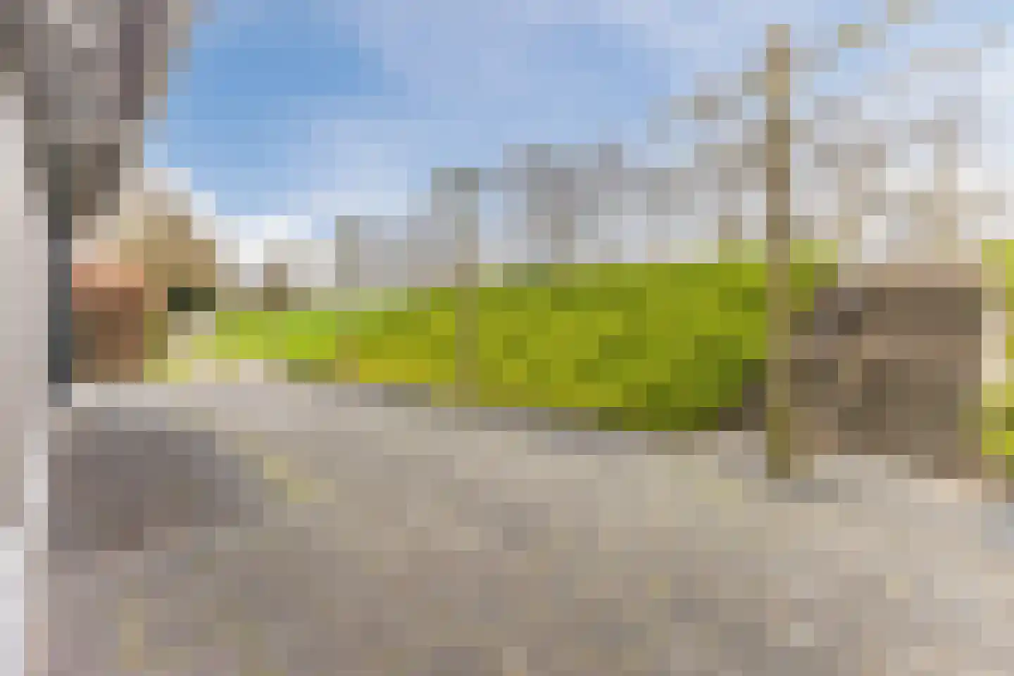 Westzanerdijk 428 Zaandam thumbnail 11