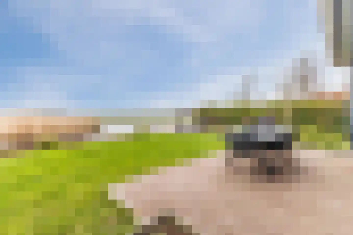 Westzanerdijk 428 Zaandam thumbnail 51