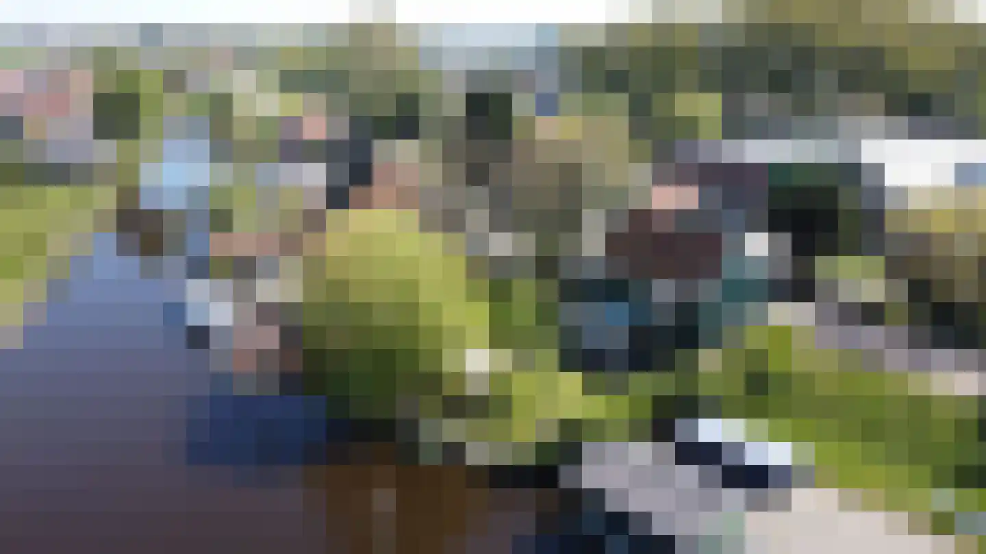 Westzanerdijk 522 in Zaandam