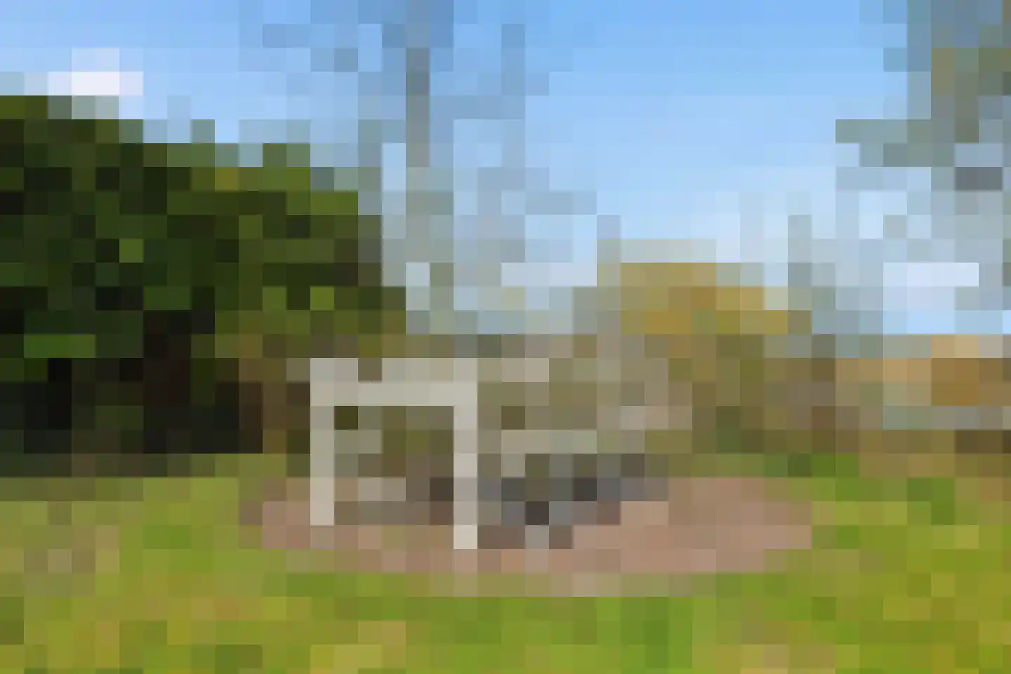 Westzanerdijk 522 Zaandam thumbnail 38