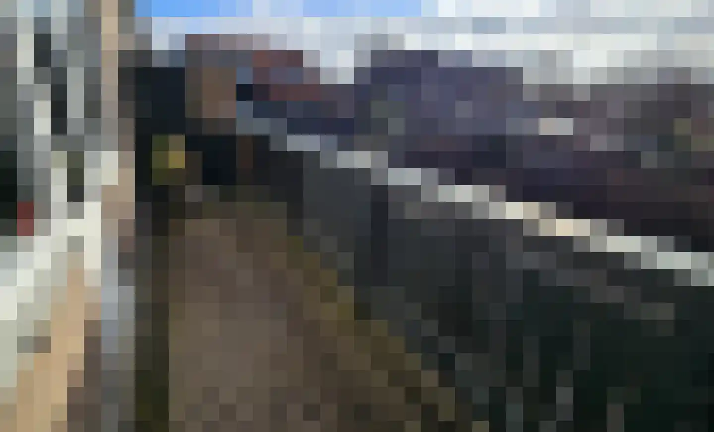 Westzanerdijk 99 Zaandam thumbnail 6
