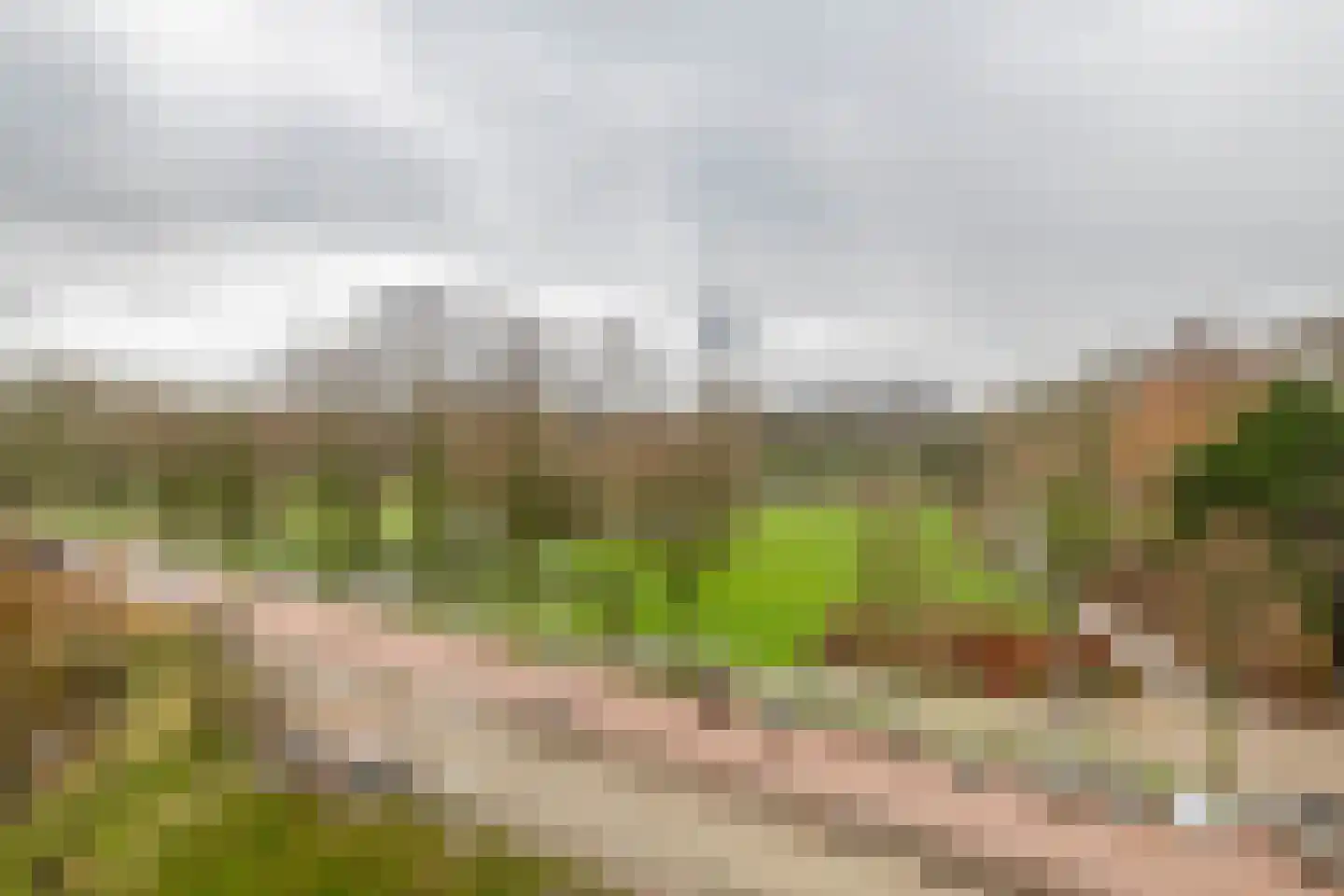 Westzeedijk 186 Rotterdam thumbnail 21