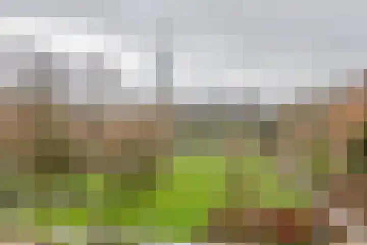 Westzeedijk 186 Rotterdam thumbnail 22