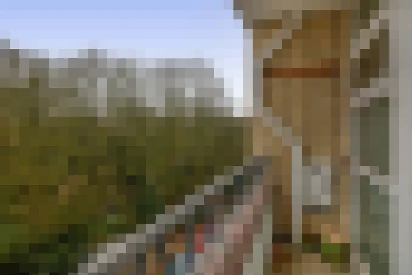 Westzeedijk 186 Rotterdam thumbnail 27