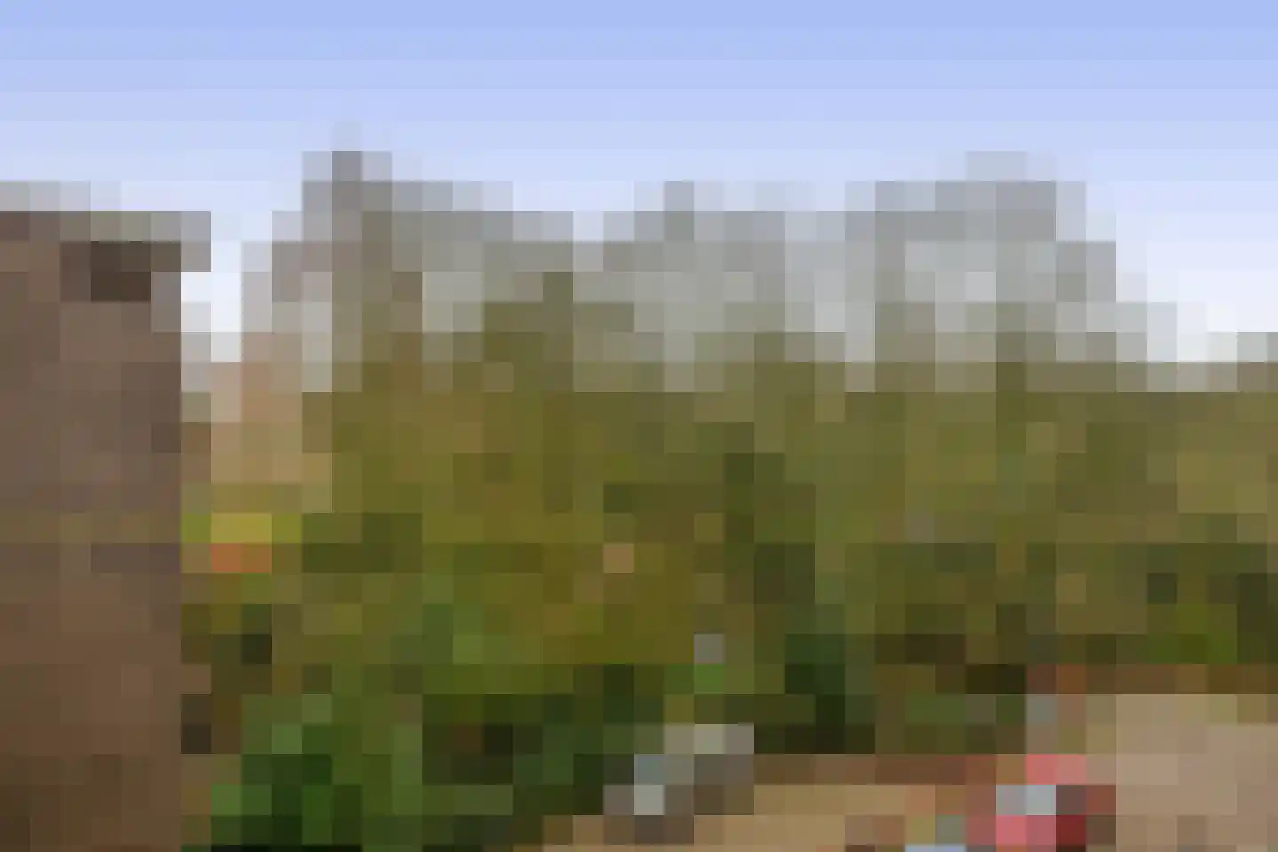 Westzeedijk 186 Rotterdam thumbnail 29