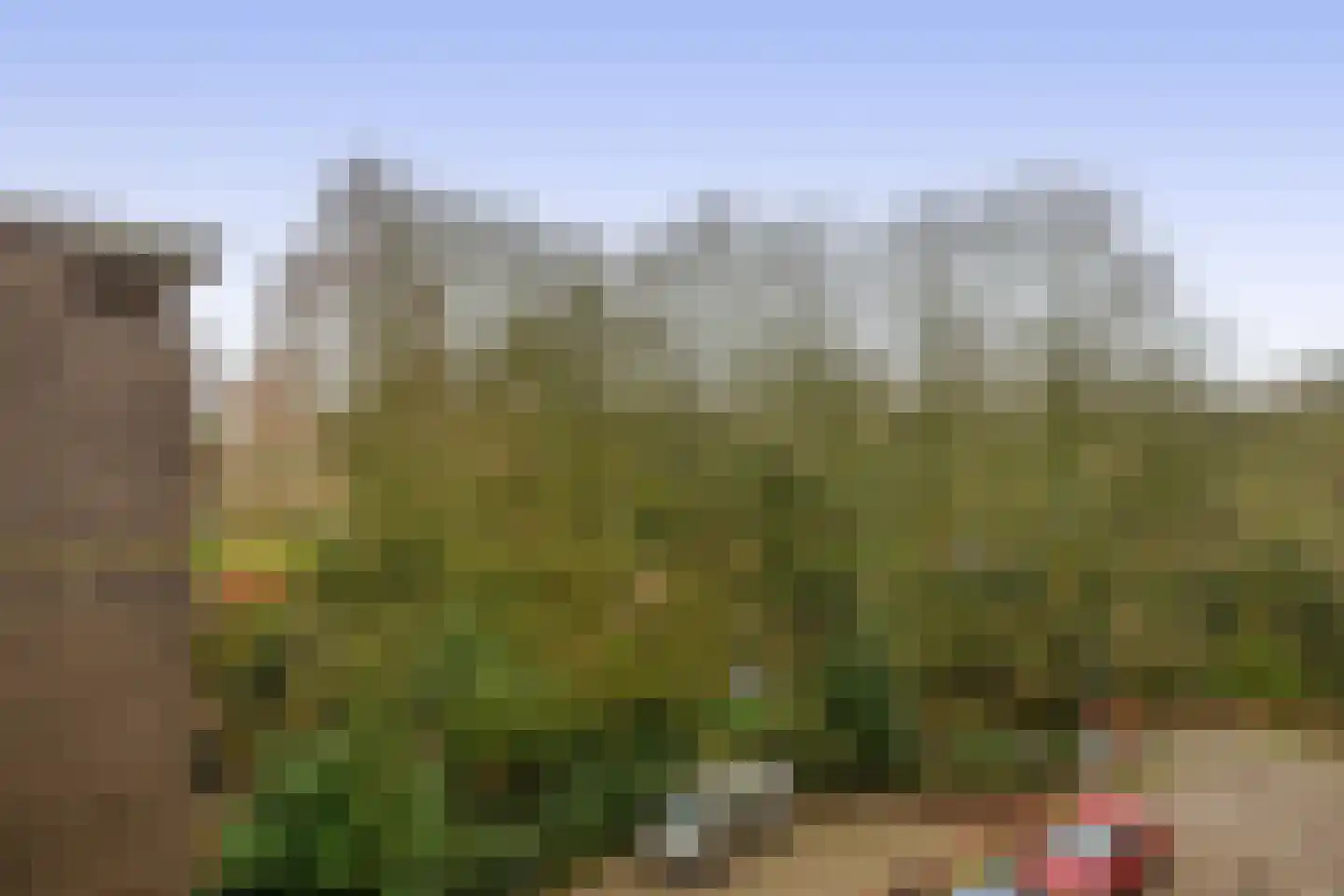 Westzeedijk 186 Rotterdam thumbnail 29