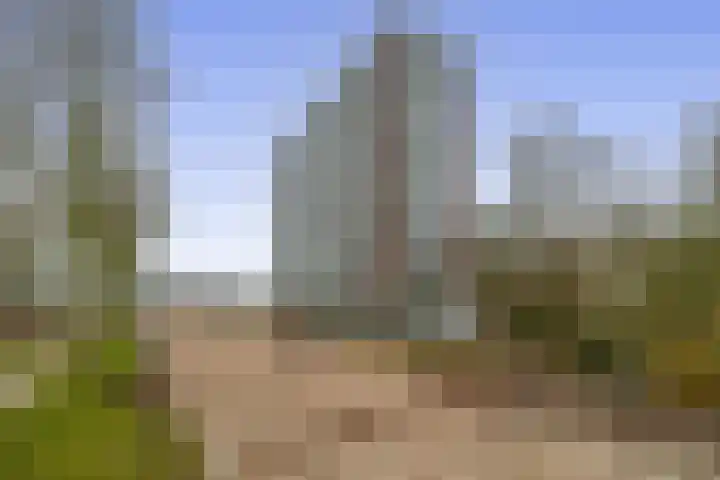 Westzeedijk 186 Rotterdam thumbnail 7