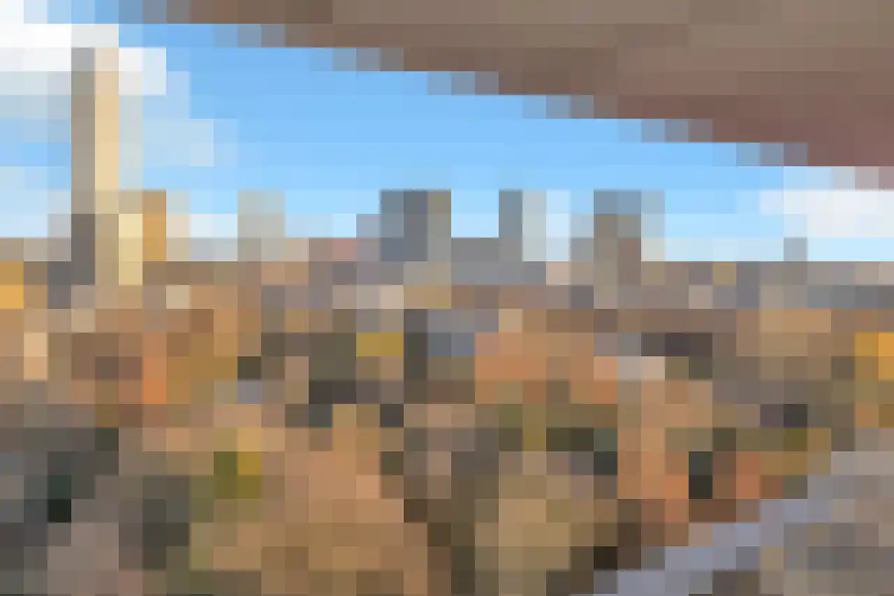Westzeedijk 198 Rotterdam thumbnail 41