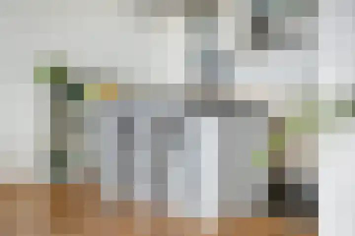 Westzeedijk 212 Rotterdam thumbnail 17