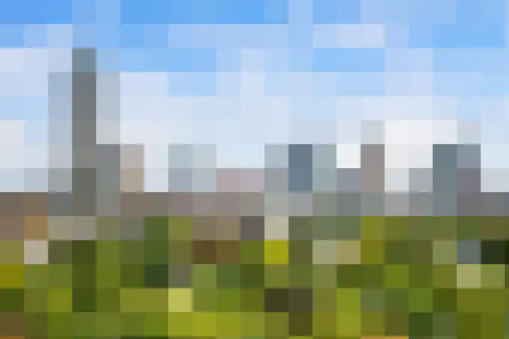 Westzeedijk 212 Rotterdam thumbnail 28