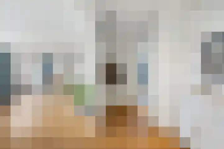 Westzeedijk 212 Rotterdam thumbnail 5