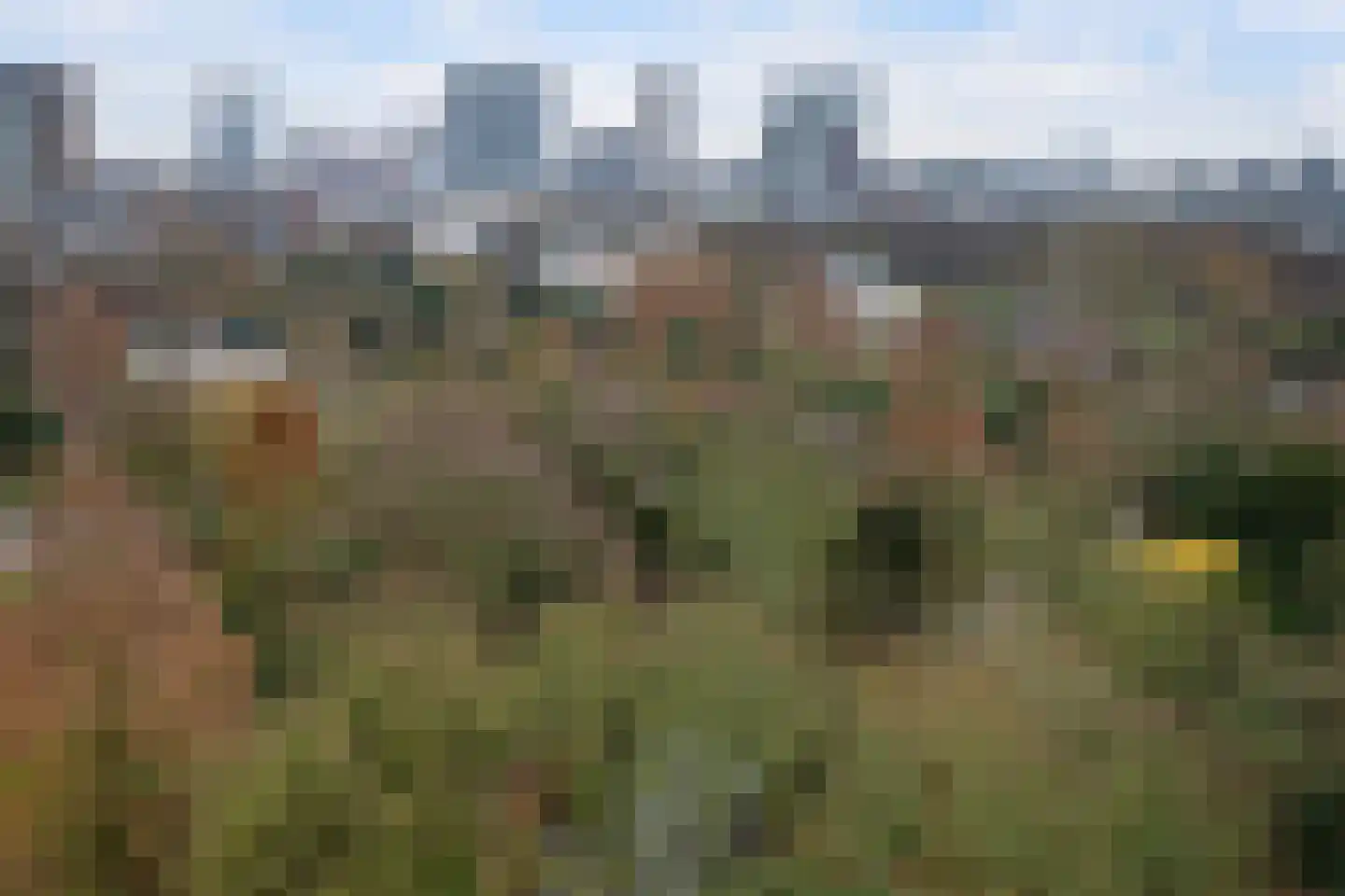 Westzeedijk 220 Rotterdam thumbnail 30