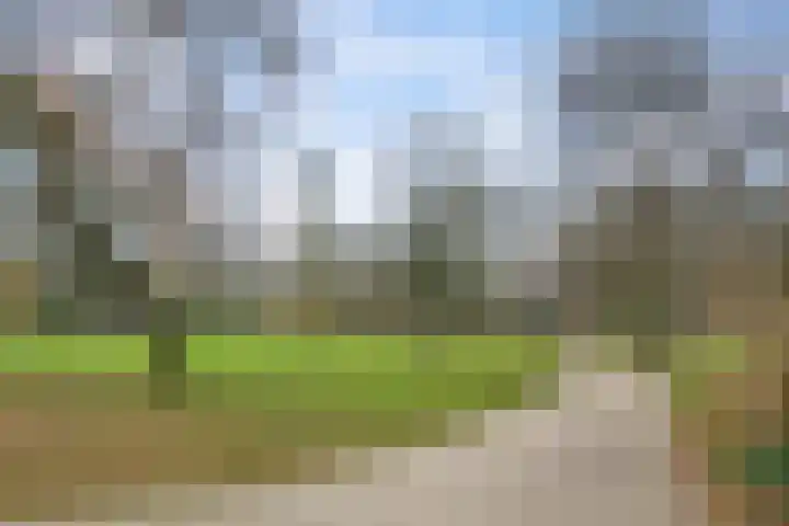 Westzeedijk 220 Rotterdam thumbnail 30