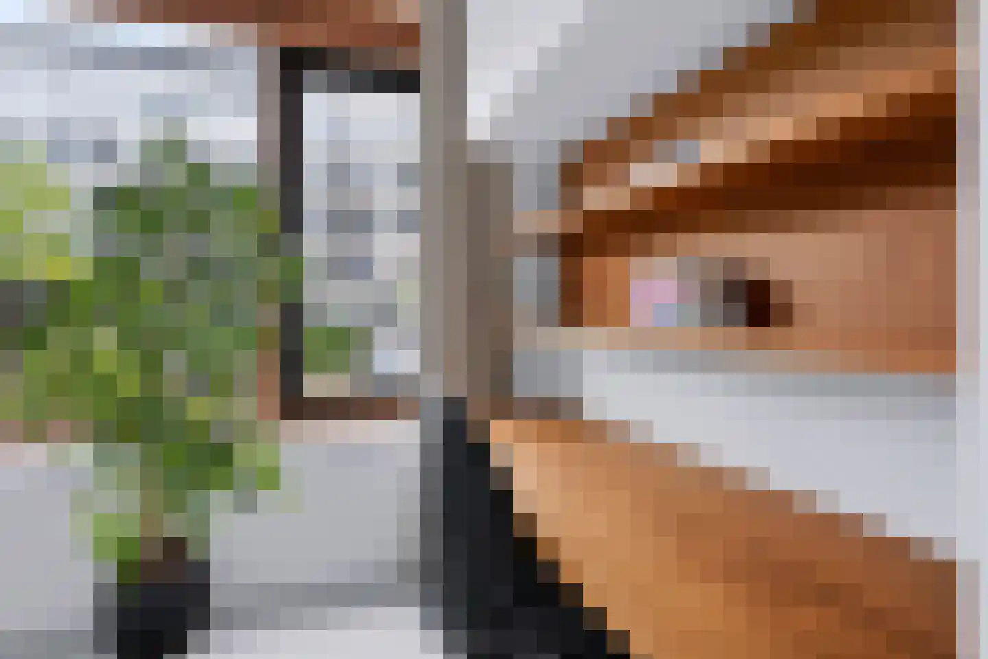 Westzeedijk 399 Rotterdam thumbnail 16