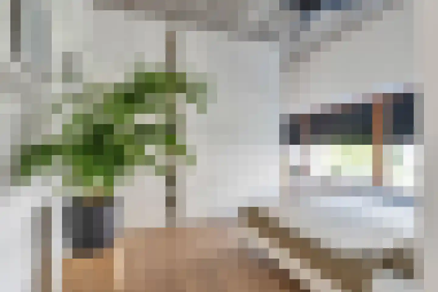 Westzeedijk 399 Rotterdam thumbnail 23