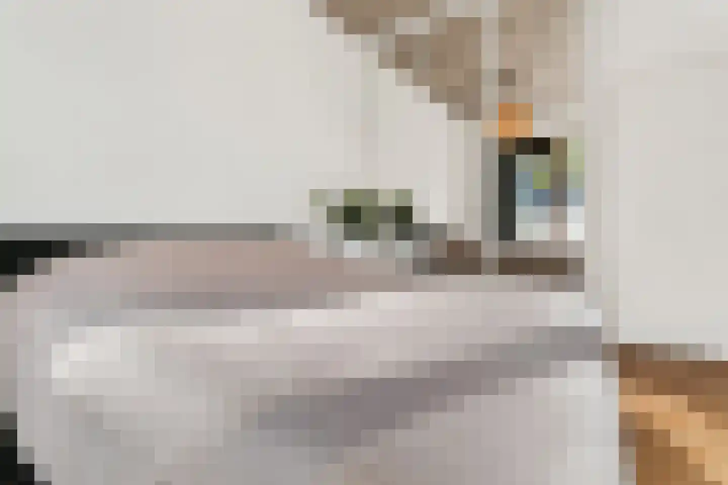 Westzeedijk 401 Rotterdam thumbnail 33
