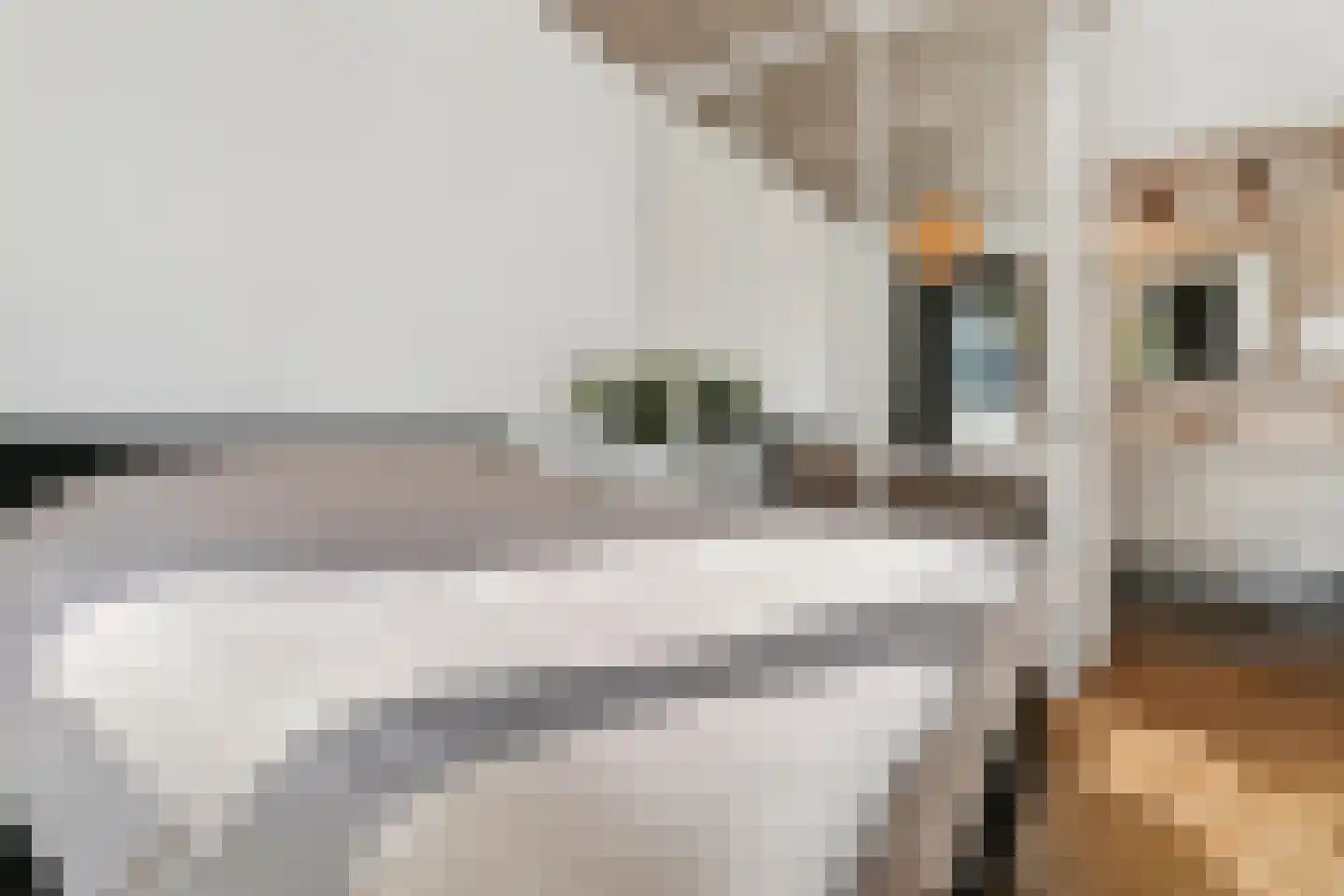 Westzeedijk 401 Rotterdam thumbnail 34