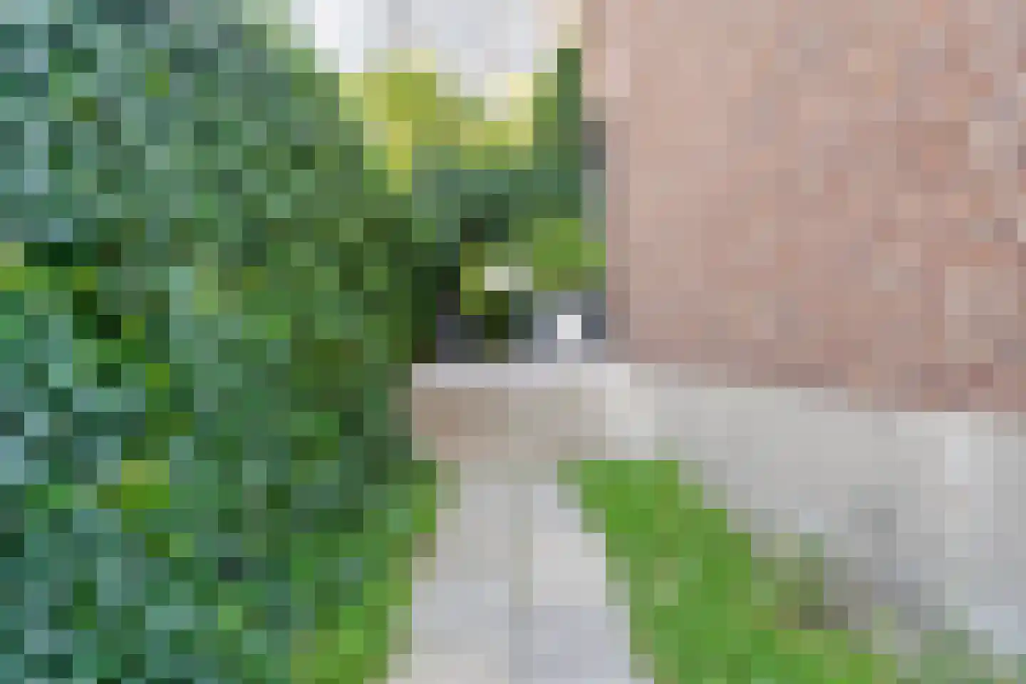 Westzeedijk 401 Rotterdam thumbnail 54