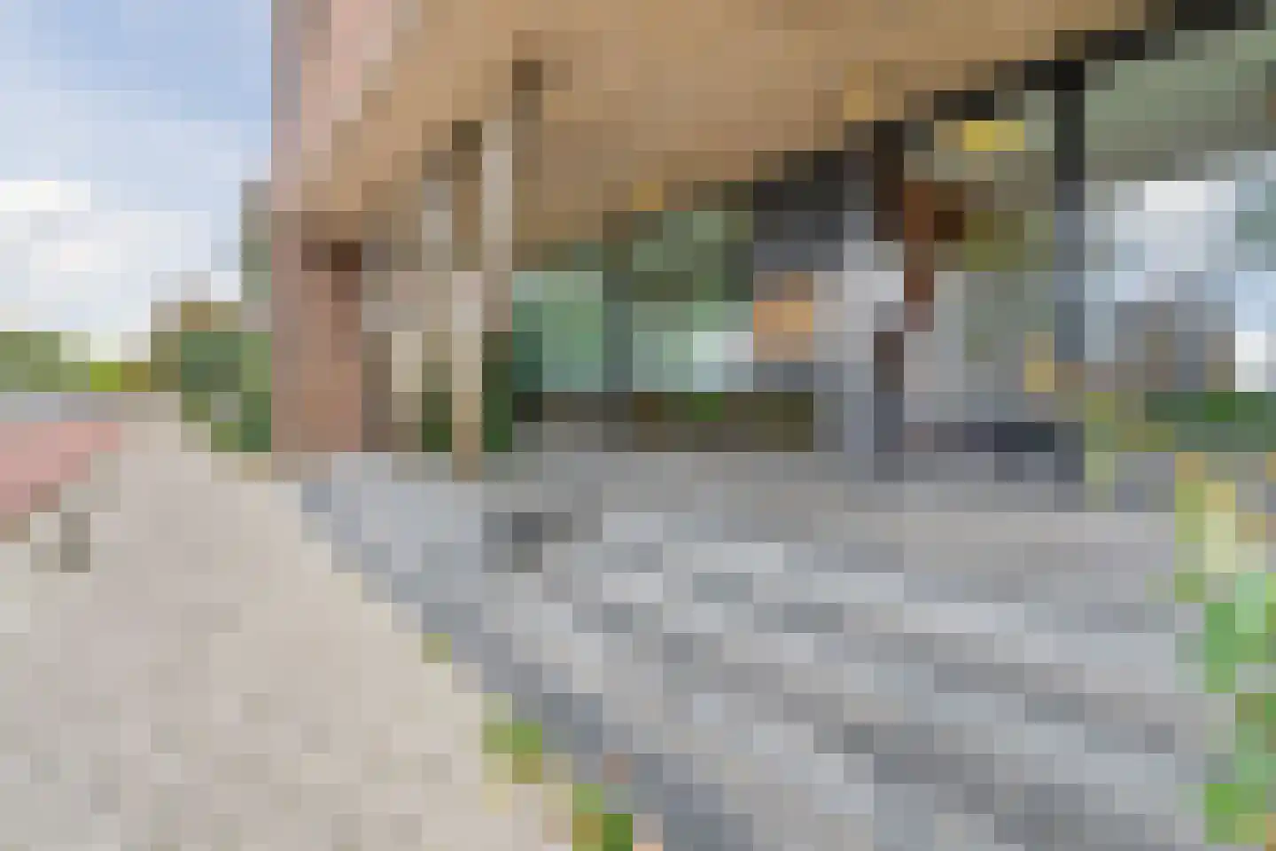 Westzeedijk 401 Rotterdam thumbnail 59