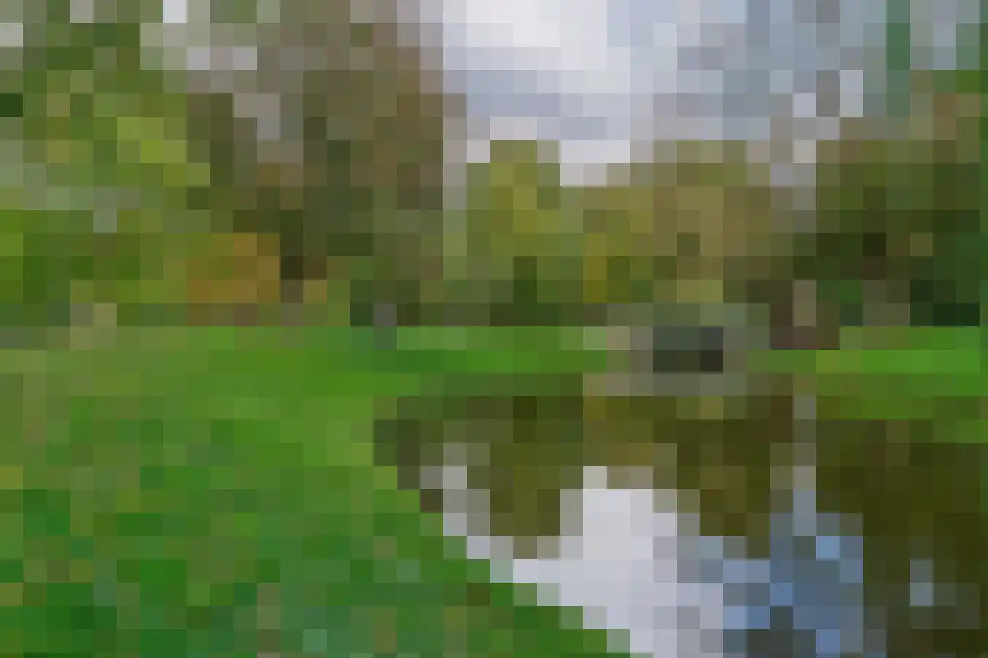 Westzeedijk 401 Rotterdam thumbnail 65
