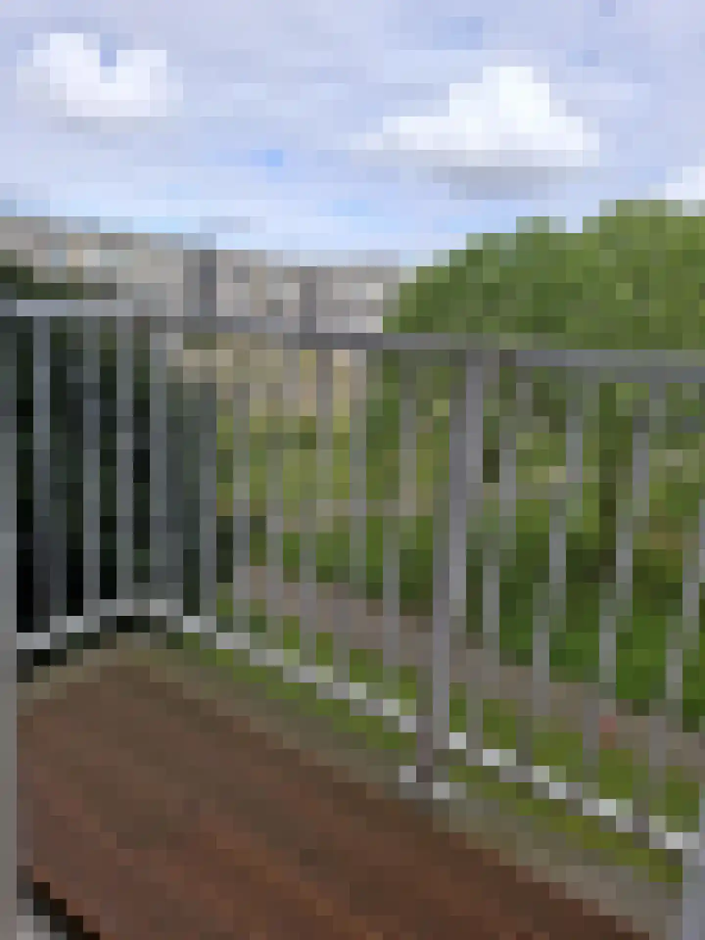 Westzeedijk 617 Rotterdam thumbnail 10