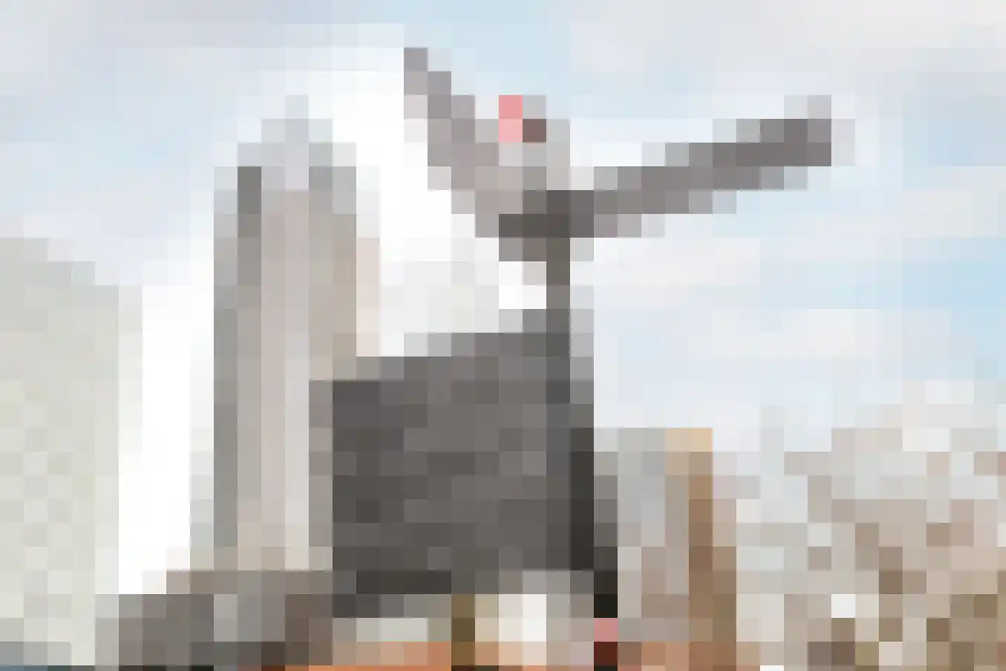 Westzeedijk 72 B 03 Rotterdam thumbnail 18