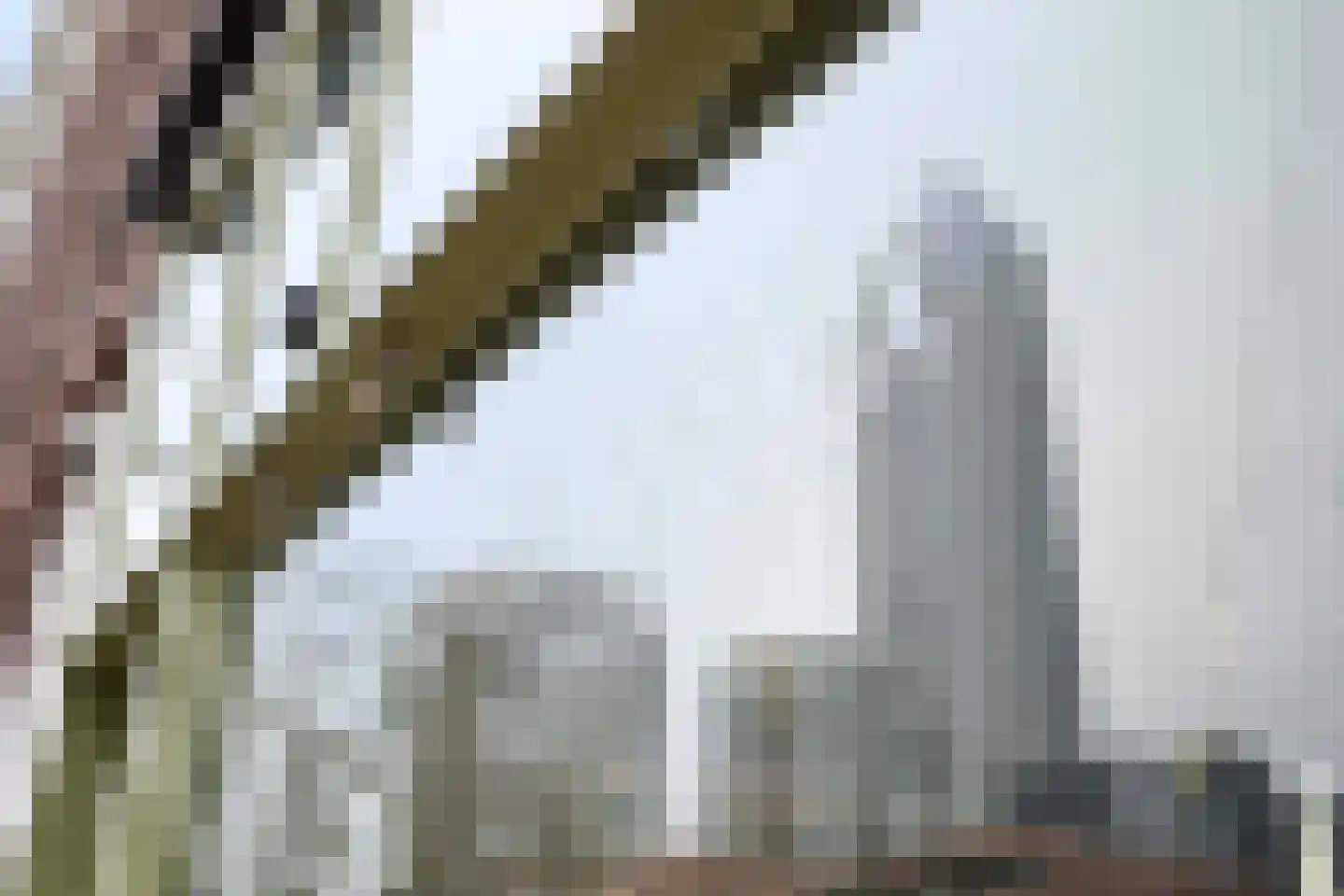 Westzeedijk 74 A 01 Rotterdam thumbnail 28