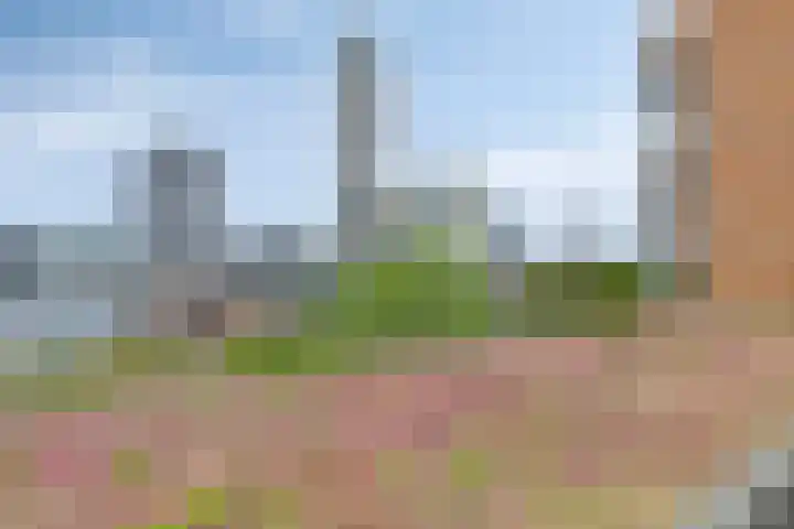 Westzeedijk 88 Rotterdam thumbnail 30