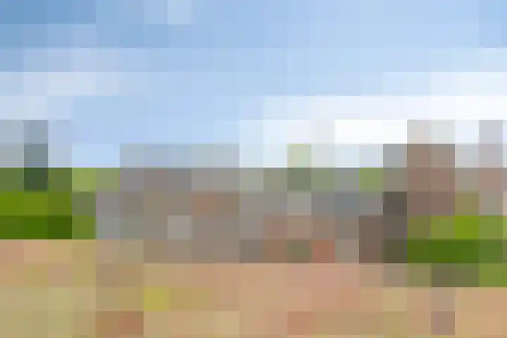 Westzeedijk 88 Rotterdam thumbnail 31