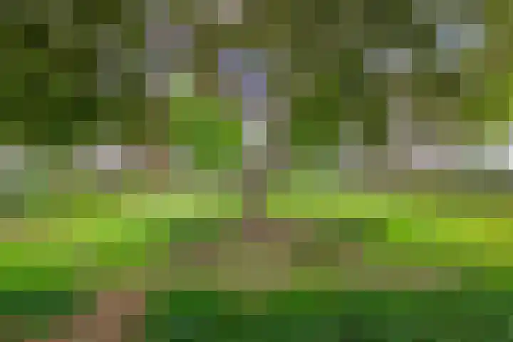 Westzeedijk 88 Rotterdam thumbnail 32