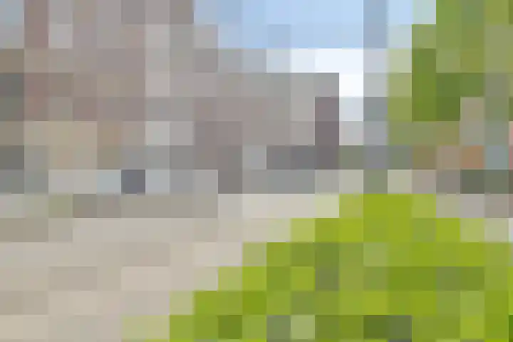 Westzeedijk 88 Rotterdam thumbnail 36