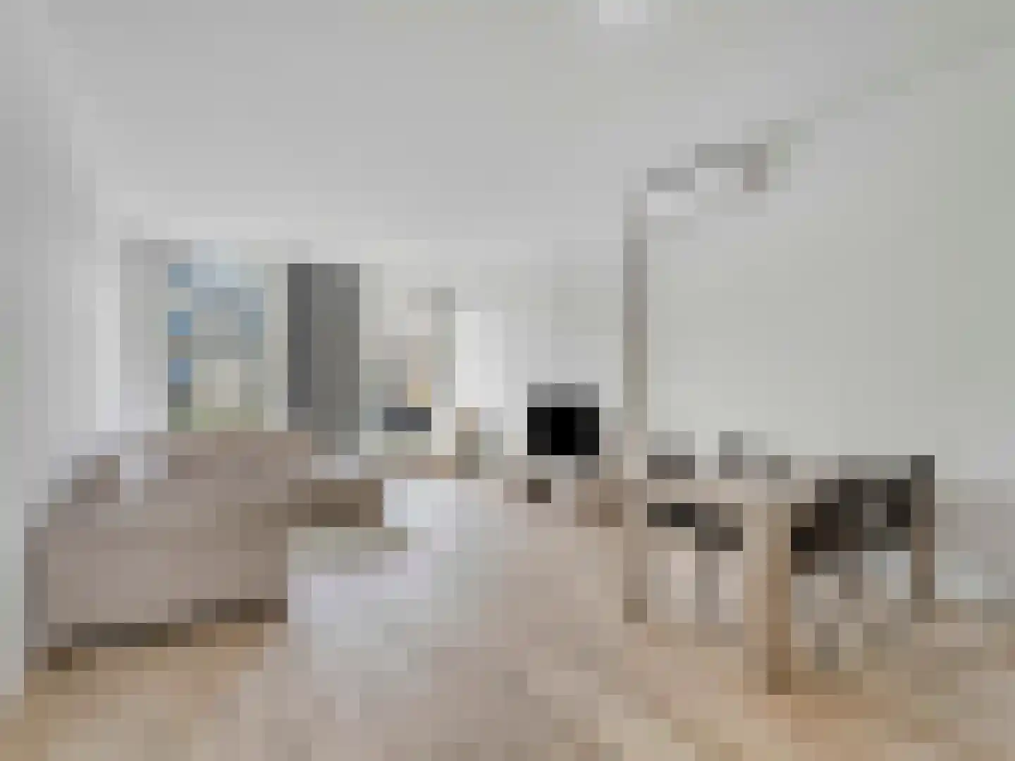 Westzeedijk 92 A Rotterdam thumbnail 6