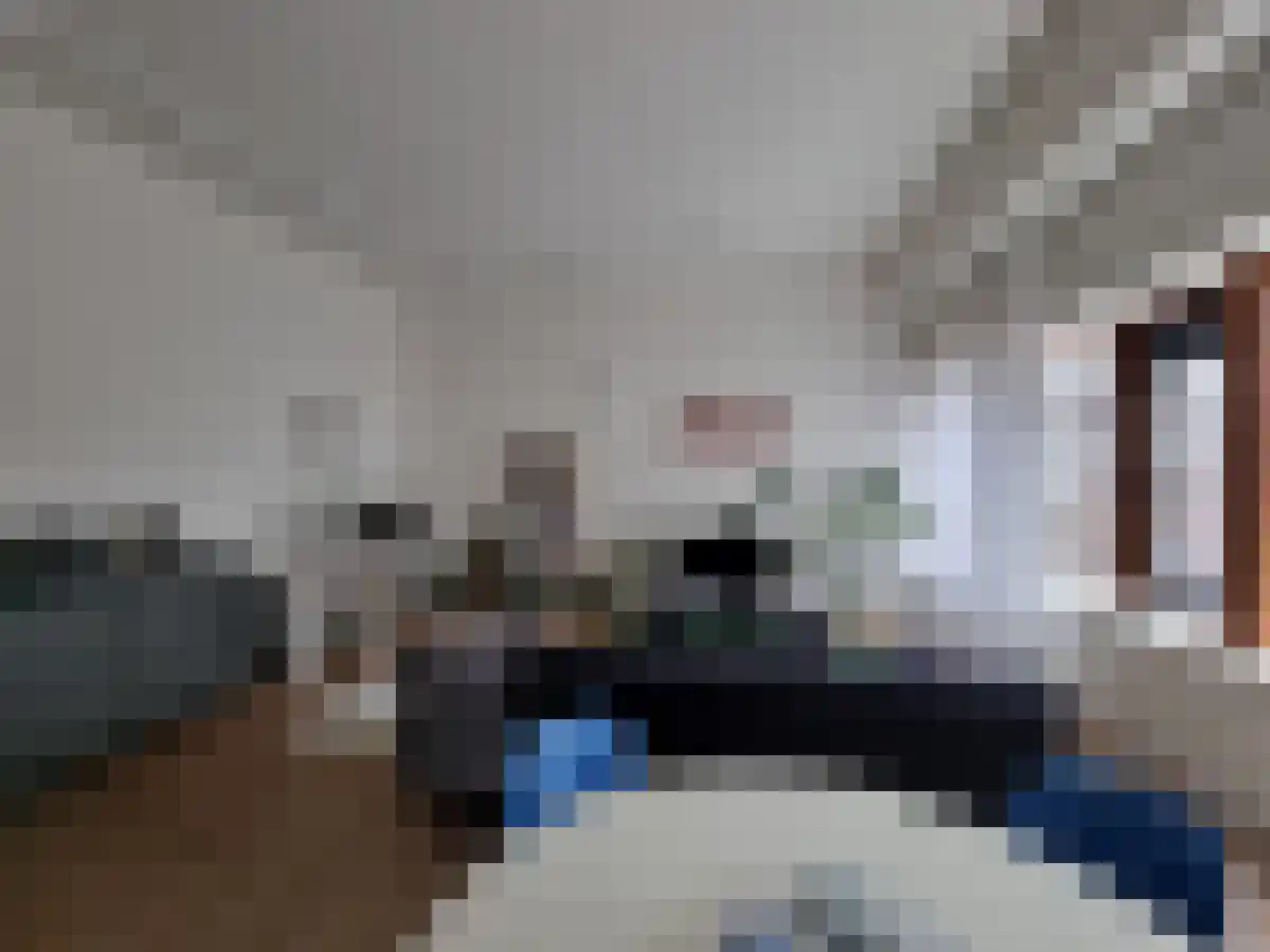 Westzeedijk Rotterdam thumbnail 5
