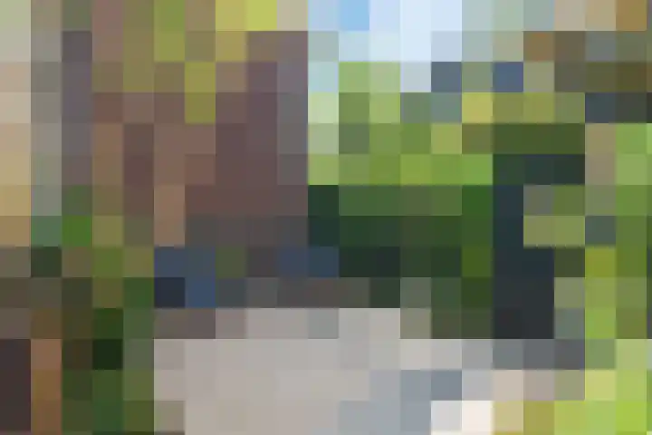 Westzijde 125 B Zaandam thumbnail 17