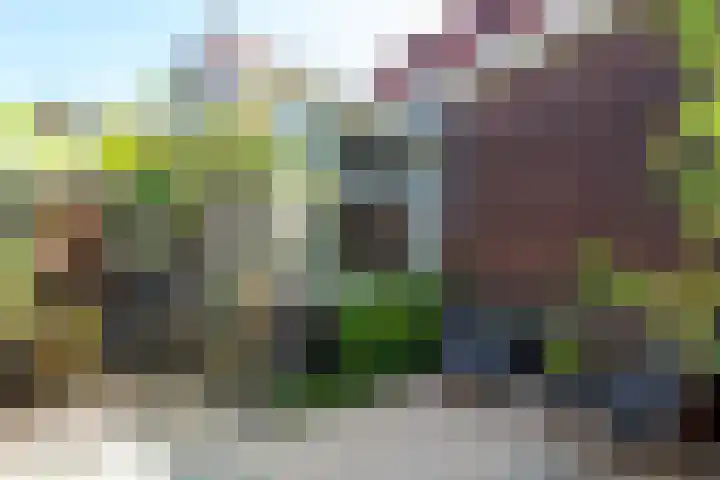Westzijde 125 B Zaandam thumbnail 18