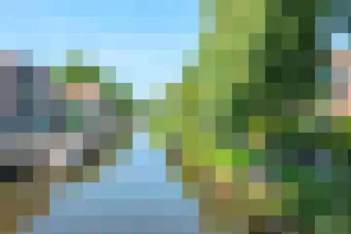 Westzijde 125 B Zaandam thumbnail 32