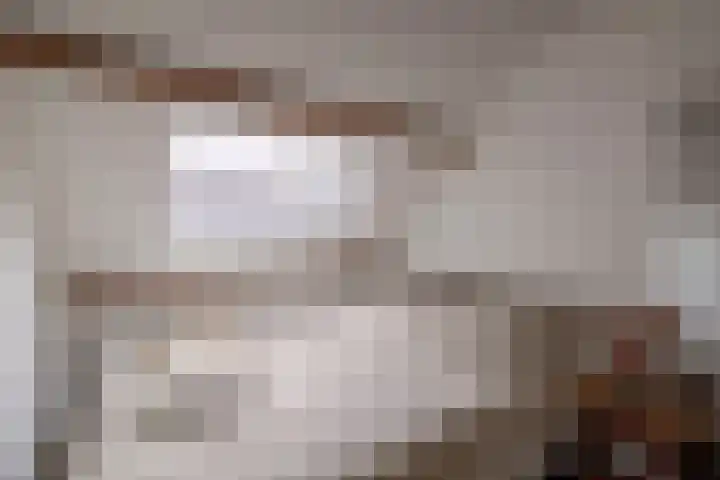 Westzijde 138 B Zaandam thumbnail 19
