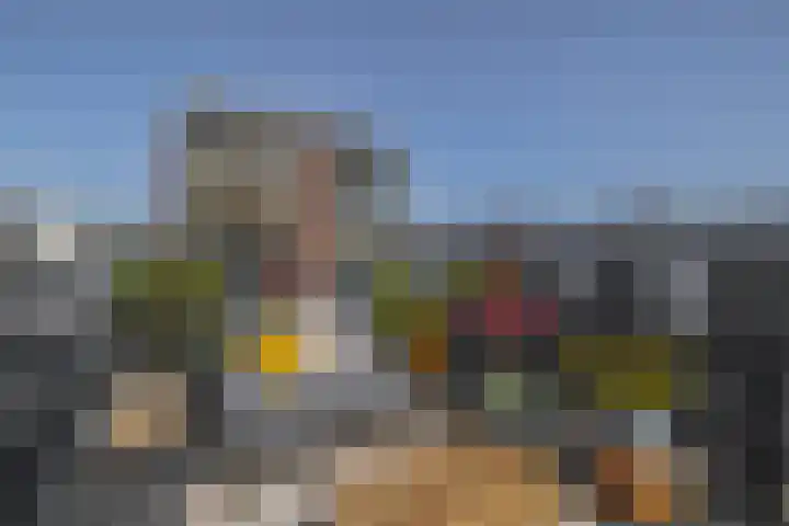 Westzijde 138 B Zaandam thumbnail 26