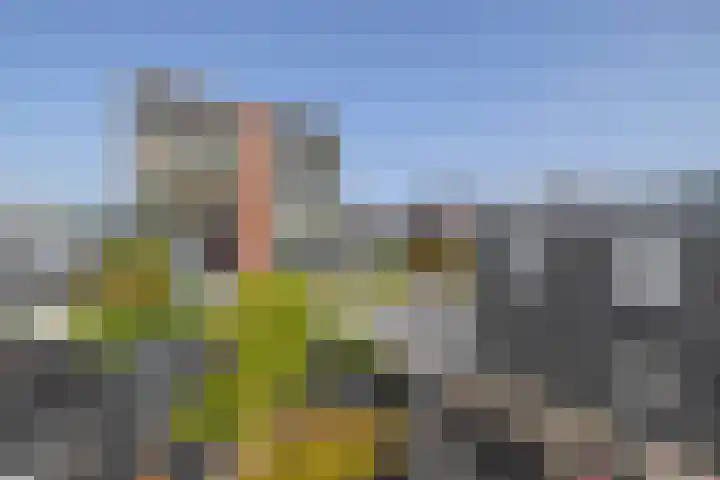 Westzijde 138 B Zaandam thumbnail 28