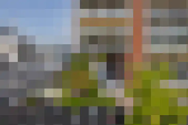 Westzijde 138 B Zaandam thumbnail 29