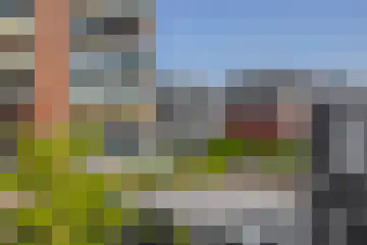 Westzijde 138 B Zaandam thumbnail 30