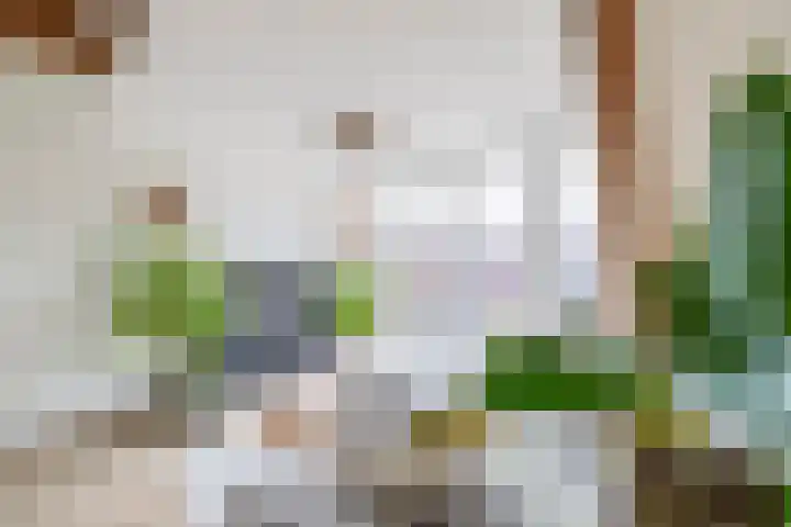 Westzijde 138 B Zaandam thumbnail 9